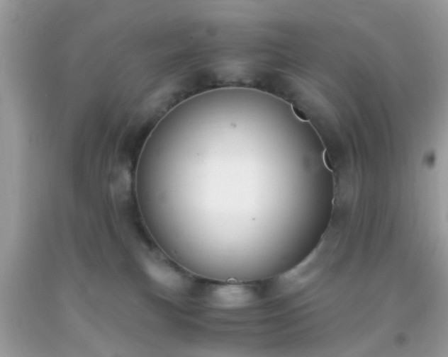 X0000093750183200710231240