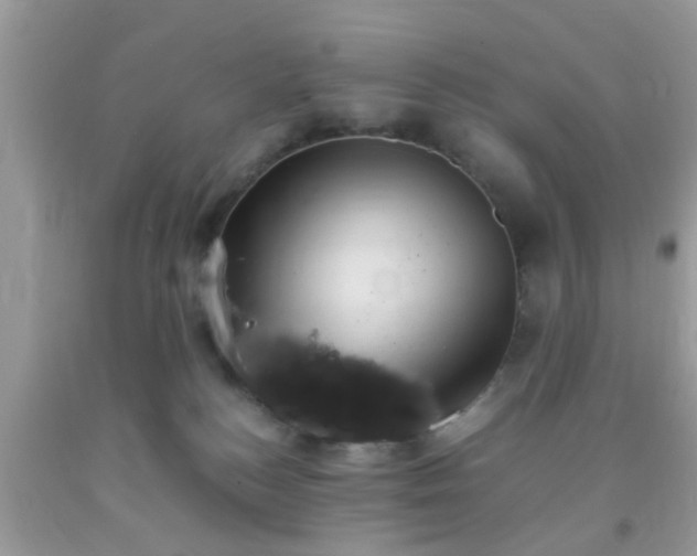 X0000093750184200710231240
