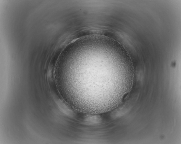 X0000093750185200710231240