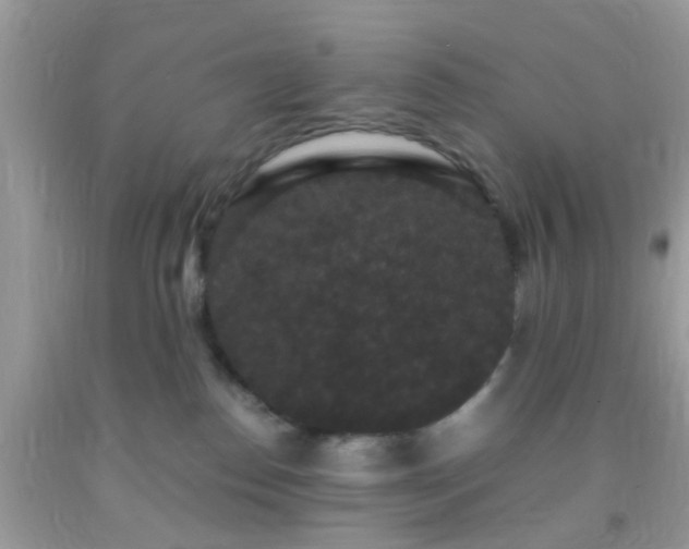 X0000093750186200710231240