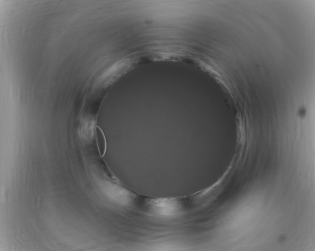 X0000093750191200710231240