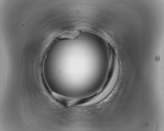 X0000093750193200710231239