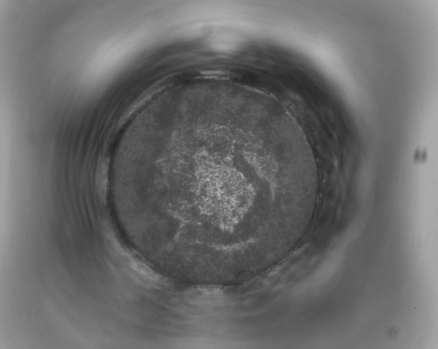 X0000093750194200710231239