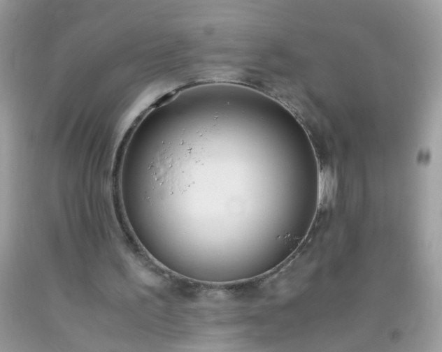 X0000093750195200710231239