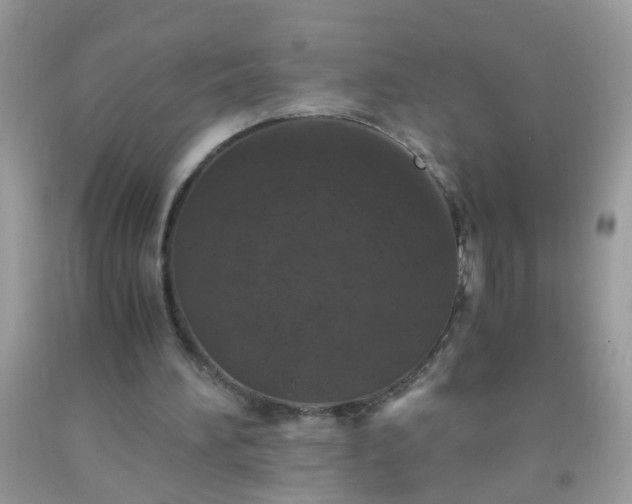 X0000093750196200710231239