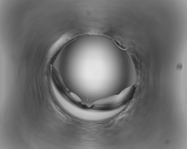 X0000093750197200710231239