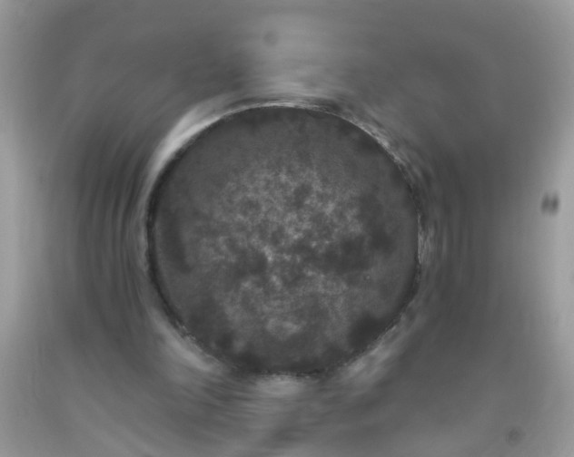 X0000093750198200710231239