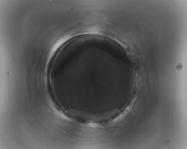 X0000093750200200710231239