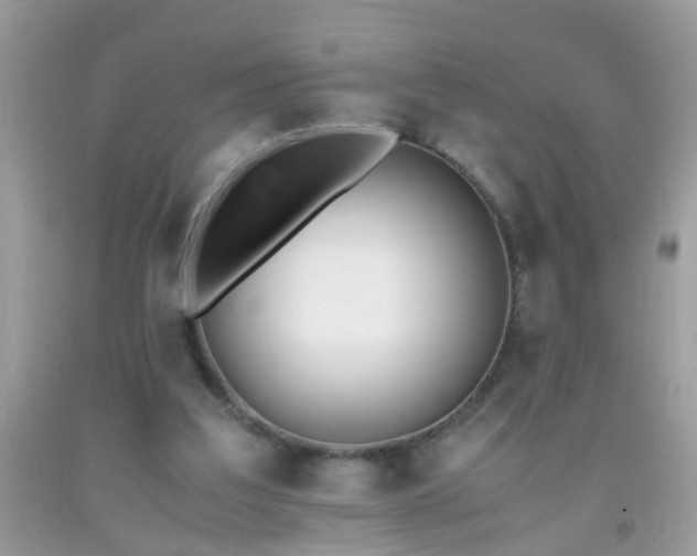 X0000093750203200710231239