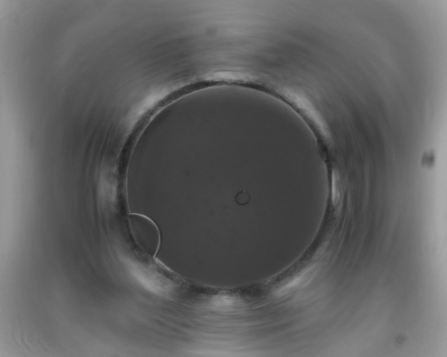 X0000093750204200710231239