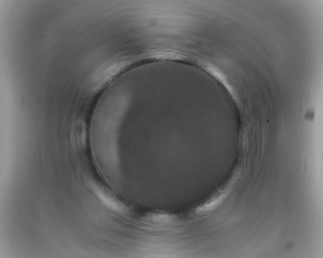 X0000093750205200710231239
