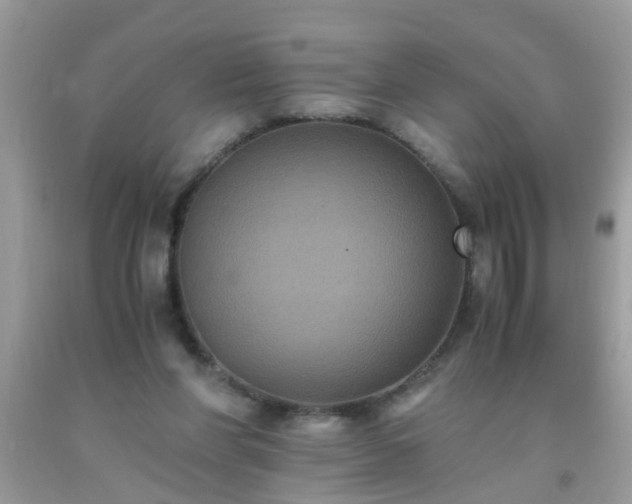 X0000093750206200710231239