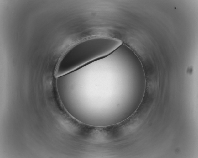 X0000093750207200710231239