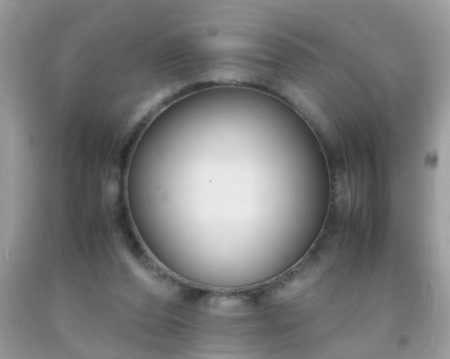 X0000093750208200710231239