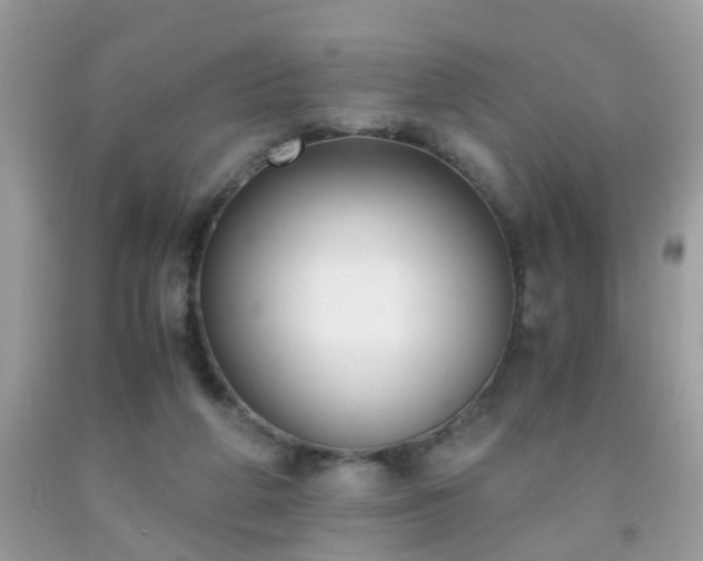 X0000093750210200710231239