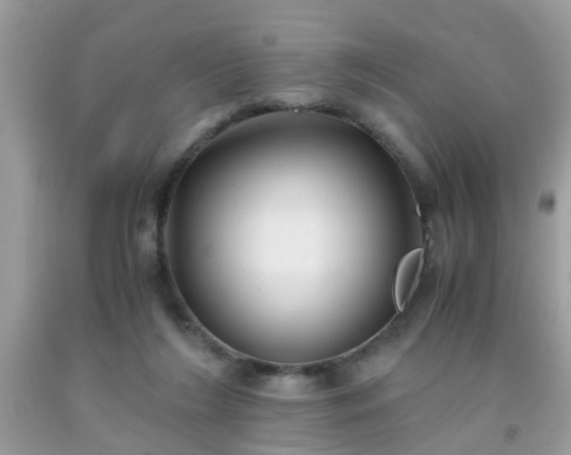 X0000093750212200710231239