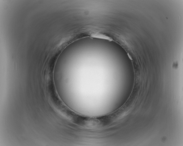 X0000093750215200710231239