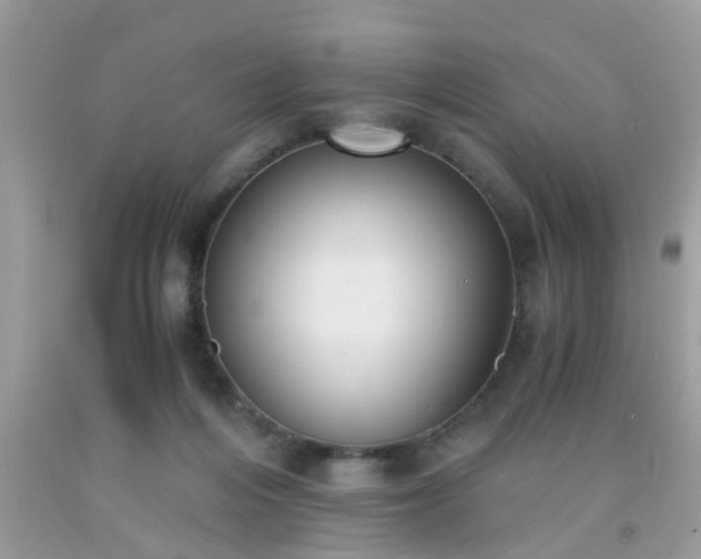 X0000093750216200710231239