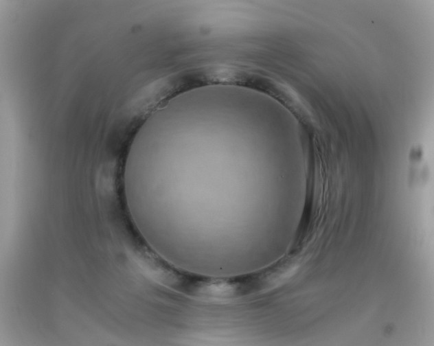 X0000093750217200710231239