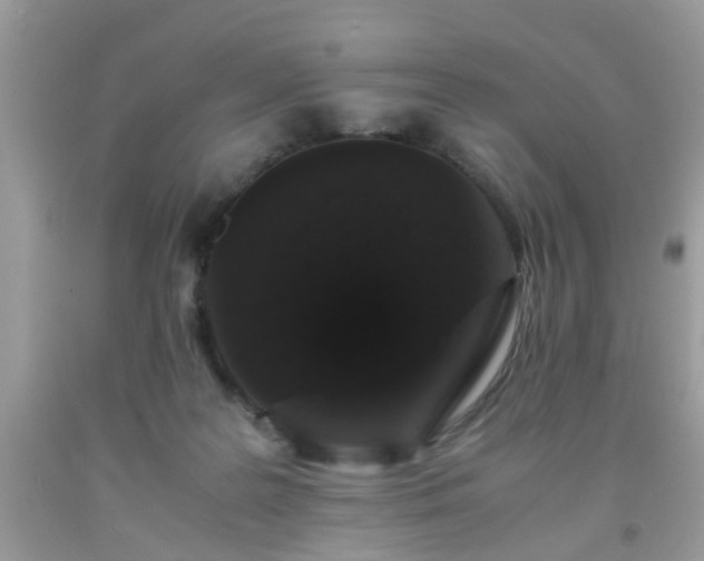 X0000093750219200710231239