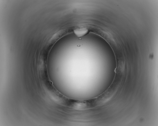 X0000093750220200710231239