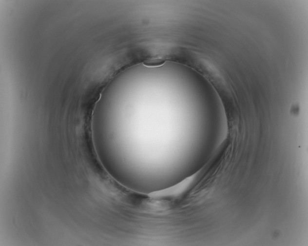 X0000093750221200710231239