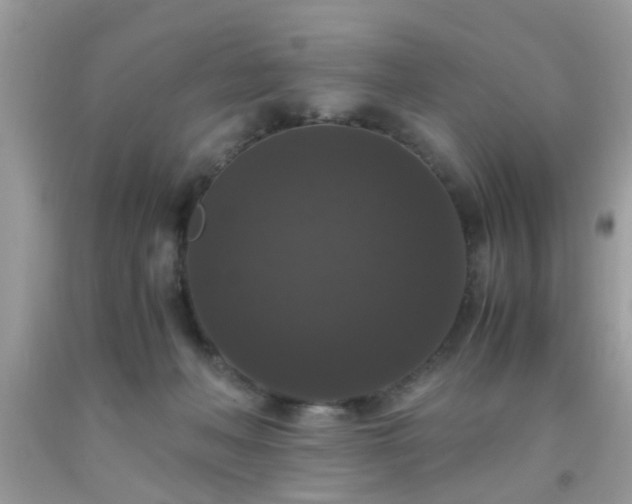 X0000093750222200710231239