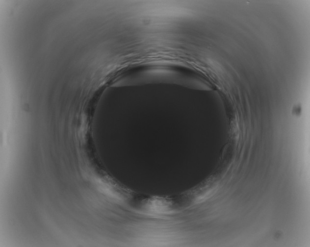 X0000093750223200710231239
