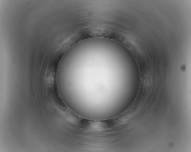 X0000093750226200710231239
