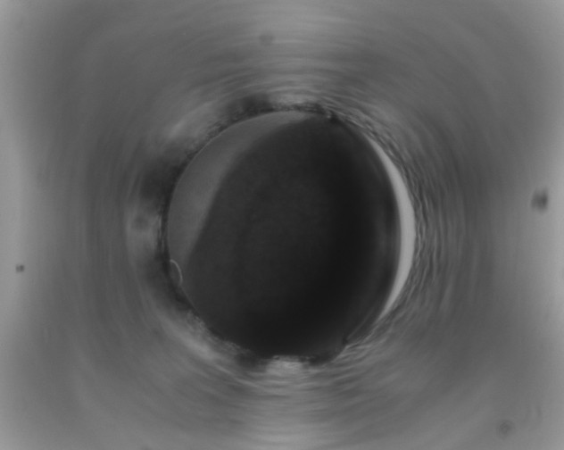 X0000093750227200710231239