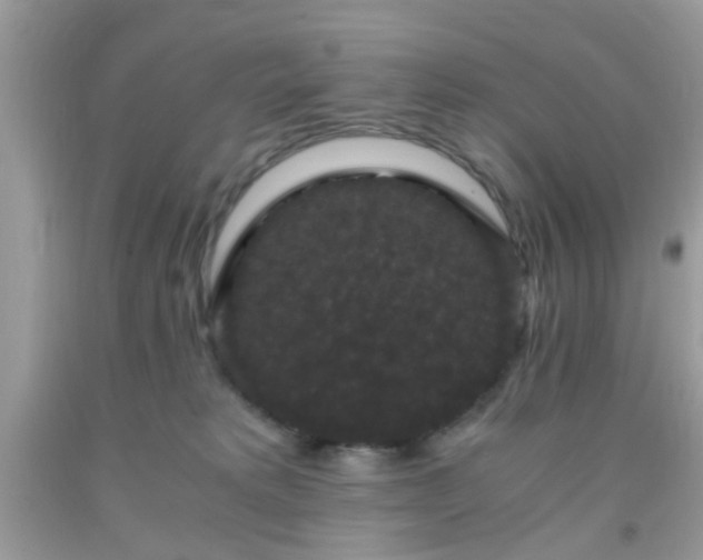 X0000093750229200710231239