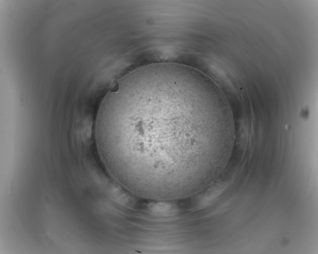 X0000093750230200710231239