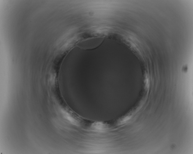 X0000093750231200710231239