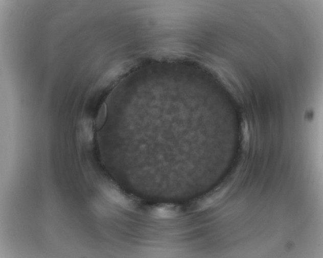 X0000093750232200710231239