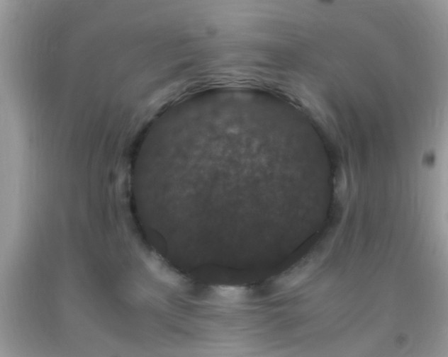 X0000093750233200710231239