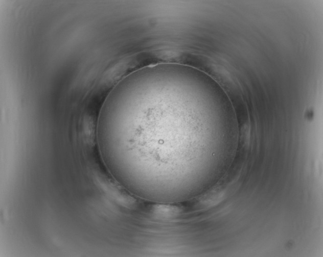 X0000093750234200710231239