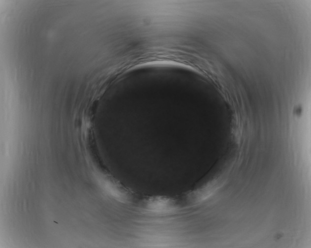 X0000093750235200710231239