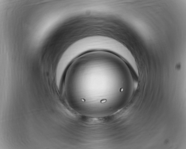 X0000093750239200710231239