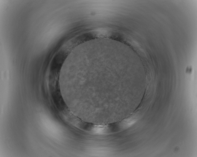 X0000093750240200710231239