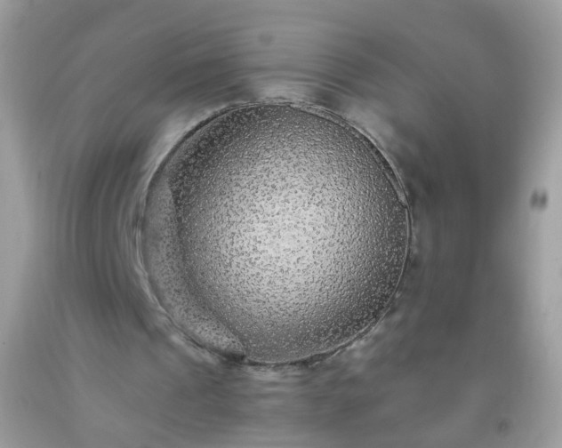 X0000093750241200710231238