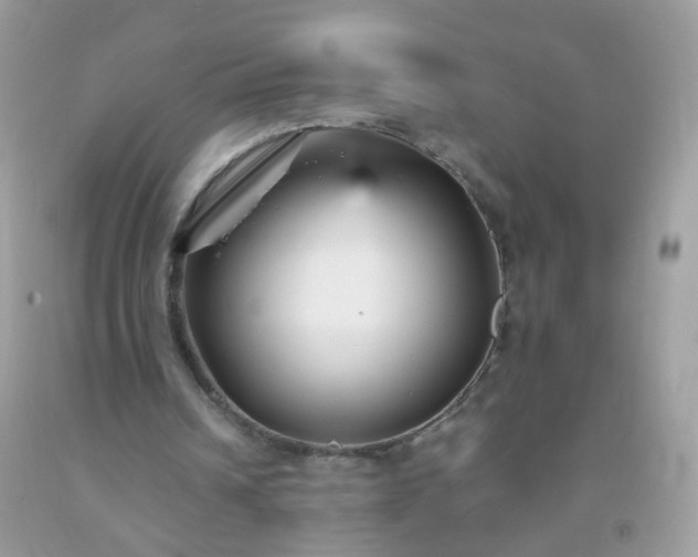 X0000093750242200710231238