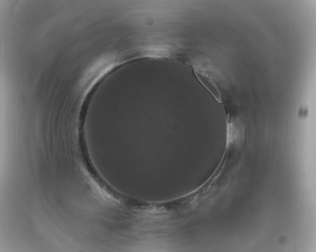 X0000093750243200710231238