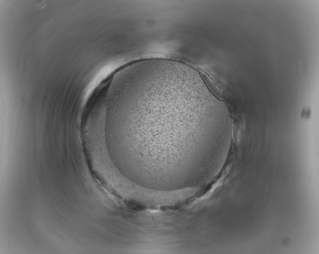X0000093750244200710231238