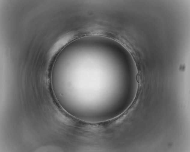 X0000093750245200710231238