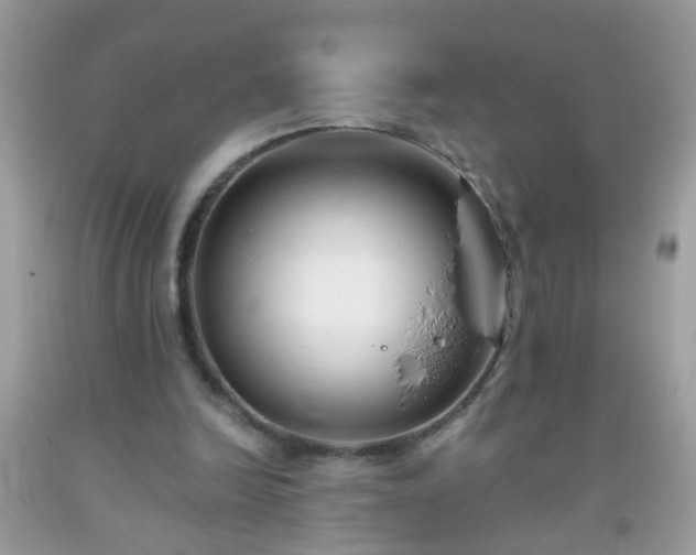 X0000093750246200710231238