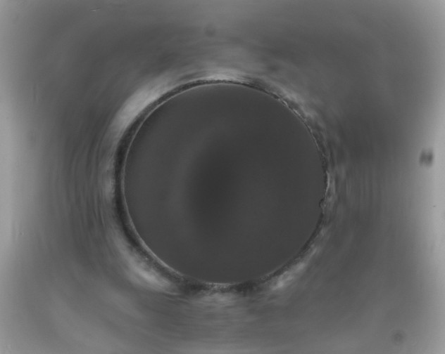 X0000093750247200710231238