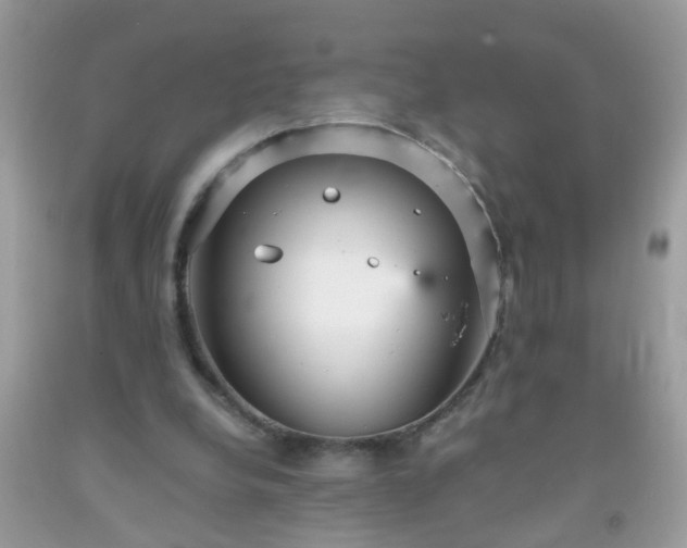 X0000093750248200710231238