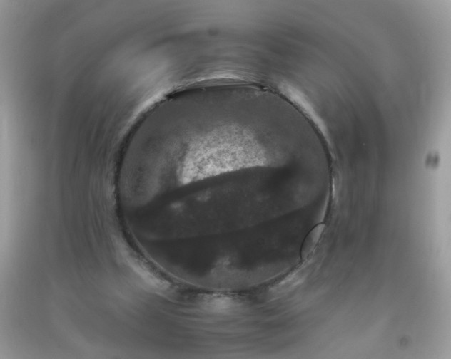 X0000093750249200710231238