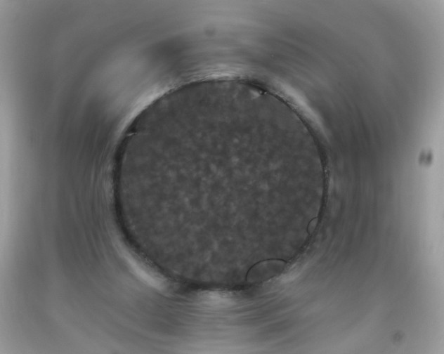 X0000093750250200710231238