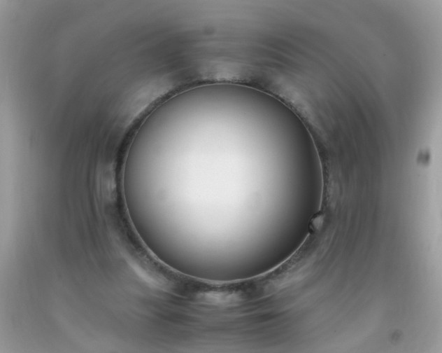X0000093750251200710231238